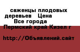 саженцы плодовых деревьев › Цена ­ 6 080 - Все города  »    . Пермский край,Кизел г.